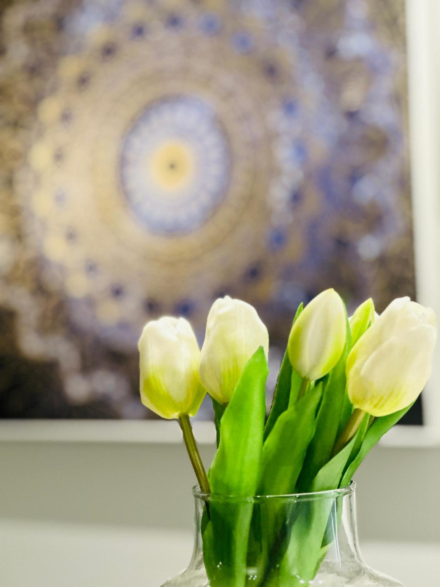 Meliora Suites Dhrapaniás 外观 照片